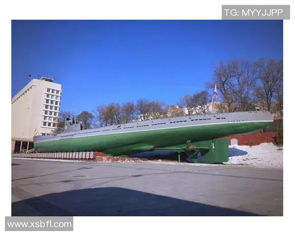 跳水运动的魅力与挑战：从基础动作到世界级竞技的全方位探索