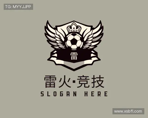 关于雷火竞技官网